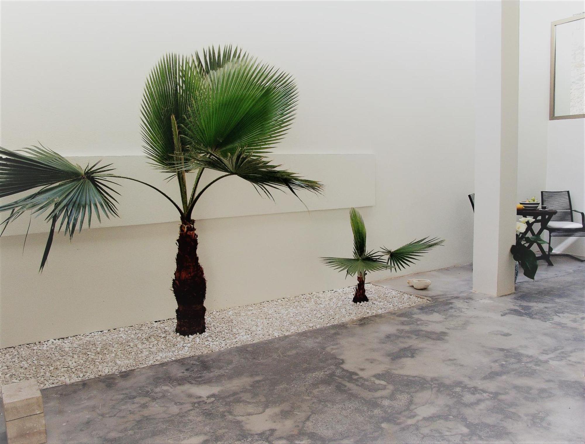 Square 45 Villa Chania  Exterior photo